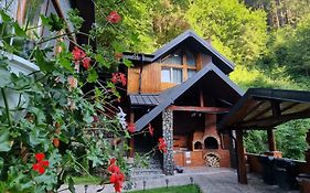 Căbănuța Cocoțată